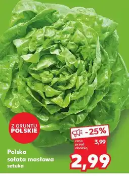 Kaufland Sałata masłowa oferta