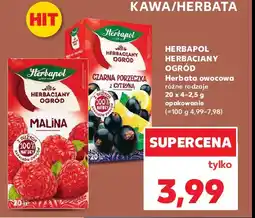 Kaufland Herbata czarna porzeczka z cytryną Herbapol herbaciany ogród oferta