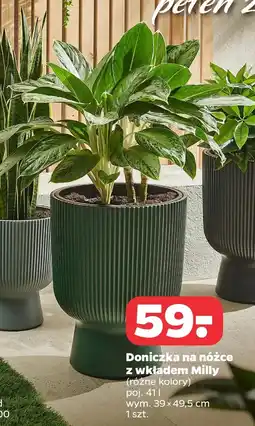Netto Doniczka Milly oferta