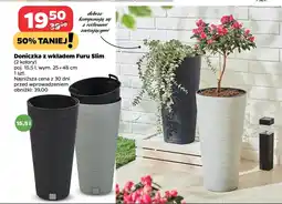 Netto Doniczka oferta