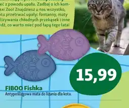 Maxi Zoo FIBOO Fishka oferta