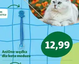 Maxi Zoo AniOne wędka dla kota meduza oferta