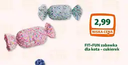 Maxi Zoo FIT+FUN zabawka dla kotacukierek oferta