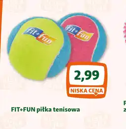 Maxi Zoo Fit+Fun piłka tenisowa oferta
