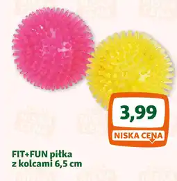 Maxi Zoo FIT+FUN piłka z kolcami oferta