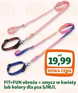 Maxi Zoo FIT+FUN obroża + smycz w kwiaty lub kolory dla psa oferta