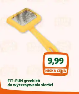 Maxi Zoo FIT+FUN grzebień do wyczesywania sierści oferta
