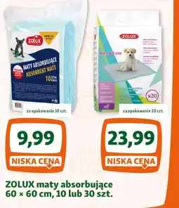 Maxi Zoo ZOLUX maty absorbujące oferta