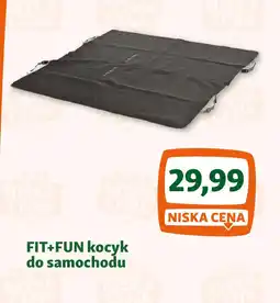 Maxi Zoo Fit+Fun kocyk do samochodu oferta