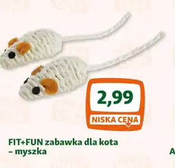 Maxi Zoo FIT+FUN zabawka dla kotamyszka oferta
