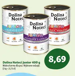 Maxi Zoo Dolina Noteci Junior oferta