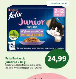 Maxi Zoo Felix Fantastic Junior oferta
