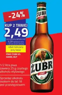 Hildebrandt Piwo żubr oferta
