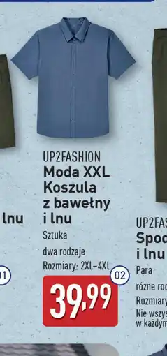 ALDI UP2FASHION Moda XXL Koszula oferta