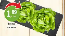 Passa Sałata zielona oferta