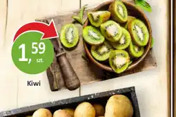 Kiwi