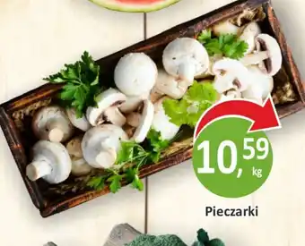 Passa Pieczarki oferta