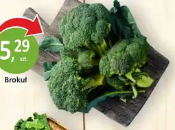 Passa Brokuł oferta