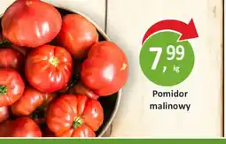Passa Pomidor malinowy oferta