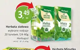 Passa Herbata ziołowa Herbapol oferta
