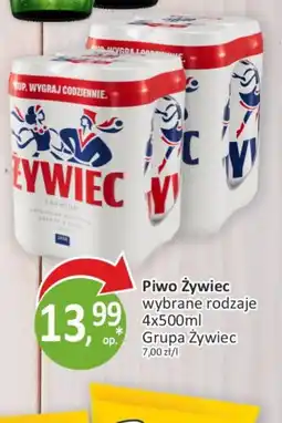 Passa Piwo Zywiec oferta