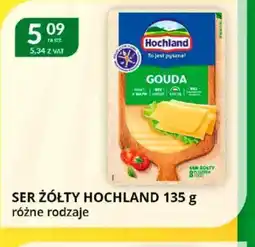 Eurocash Cash & Carry Ser żółty Hochland oferta
