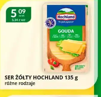 Eurocash Cash & Carry Ser żółty Hochland oferta
