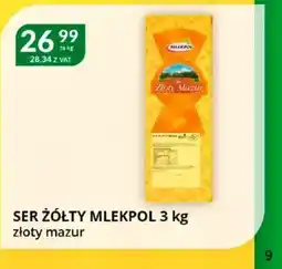 Eurocash Cash & Carry Ser żółty Mlekpol oferta