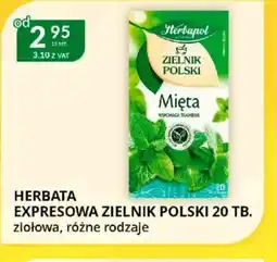 Eurocash Cash & Carry Herbata ekspresowa Zielnik Polski oferta