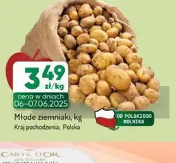 Avita Młode ziemniaki oferta