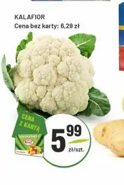 Sedal Kalafior oferta