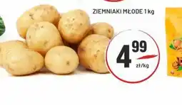 Sedal Ziemniaki młode oferta