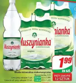 Dino Muszynianka, 1.5 l oferta