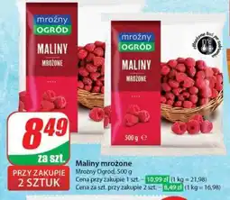 Dino Maliny mrożone oferta