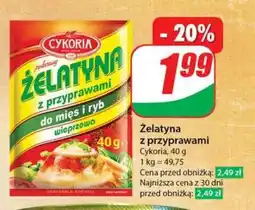 Dino Żelatyna z przyprawami oferta