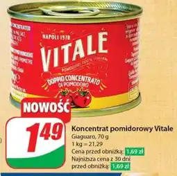Dino Koncentrat pomidorowy Vitale oferta