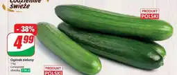 Dino Ogórek zielony oferta