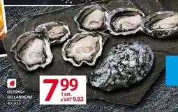 Selgros Ostrygi Gillardeau oferta