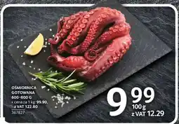 Selgros Ośmiornica gotowana oferta