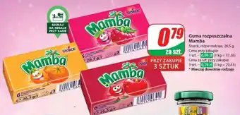 Dino Guma rozpuszczalna Mamba oferta
