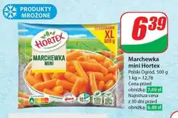 Dino Marchewka mini Hortex oferta