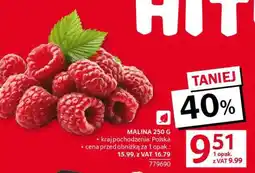Selgros Malina 250 g oferta