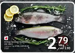 Selgros Pstrąg tęczowy – patroszony oferta