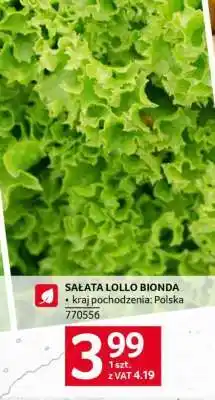 Selgros Sałata Lollo Bionda oferta