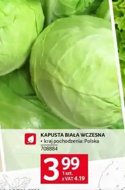 Selgros Kapusta biała wczesna oferta