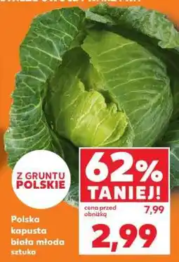 Kaufland Polska kapusta biała młoda sztuka oferta
