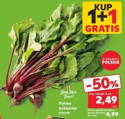 Kaufland Polska botwinka pęczek oferta