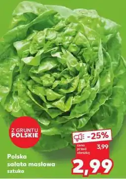 Kaufland Polska sałata masłowa oferta