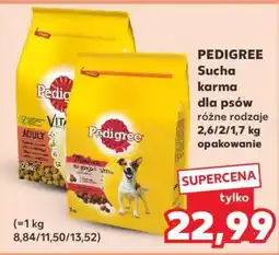 Kaufland PEDIGREE Sucha karma dla psów oferta