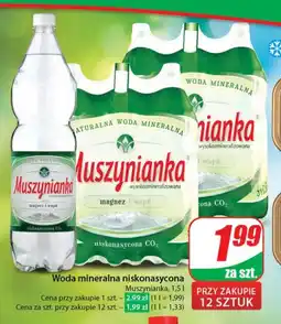 Dino Woda mineralna Muszynianka oferta